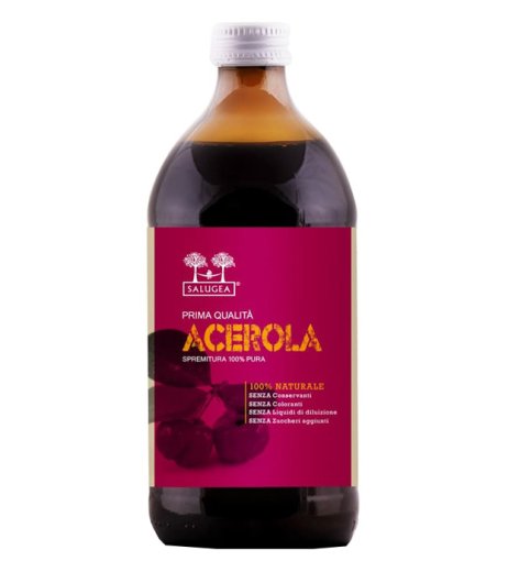 SUCCO PURO ACEROLA 500ML