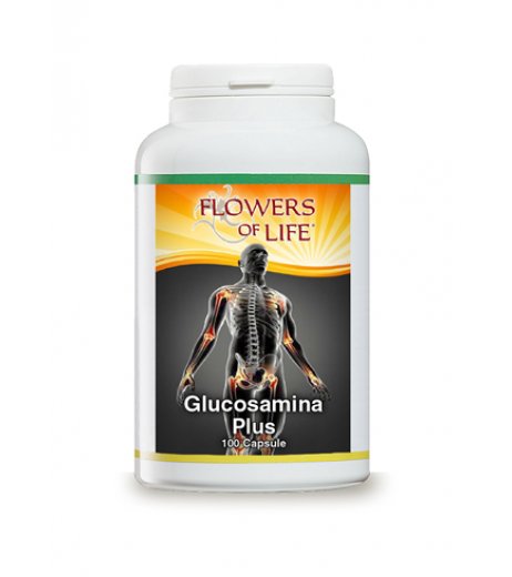 GLUCOSAMINA PLUS N/F 100CPS FL