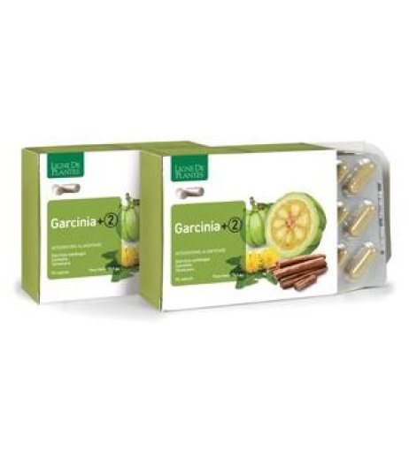 GARCINIA +2 90CPS