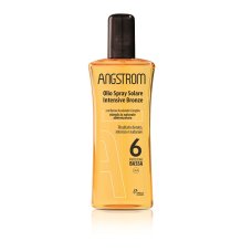 ANGSTROM PROT PERF OLIO SEC 6 ANGSTROM PROT PERF OLIO SEC 6