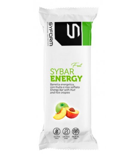 SYBAR ENERGY FRUIT MELA/PESC40