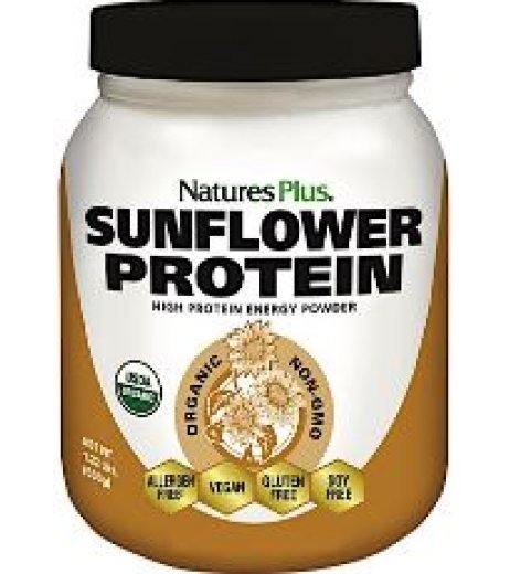 PROTEINE DI GIRASOLE 555G