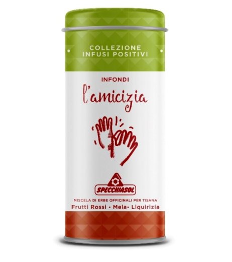 TISANA INFONDI L'AMICIZIA 80G