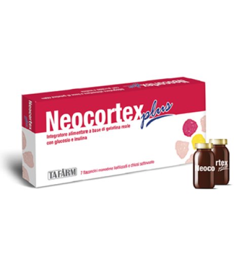 NEOCORTEX PLUS 7F 240MG