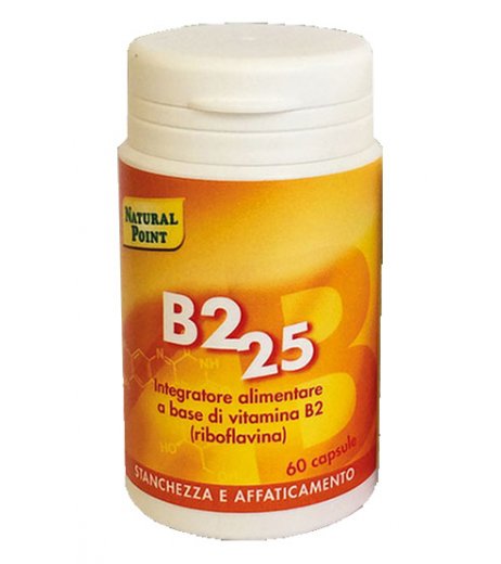 B2 25 60CPS