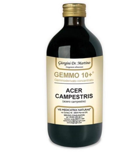 ACERO CAMP 500ML ANALCO GEM10+