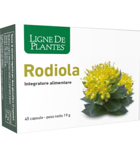 RODIOLA 45 Cps NSE