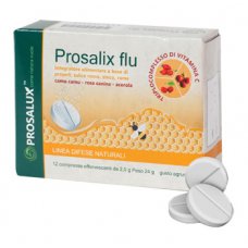 PROSALIX FLU 12CPR EFFERV