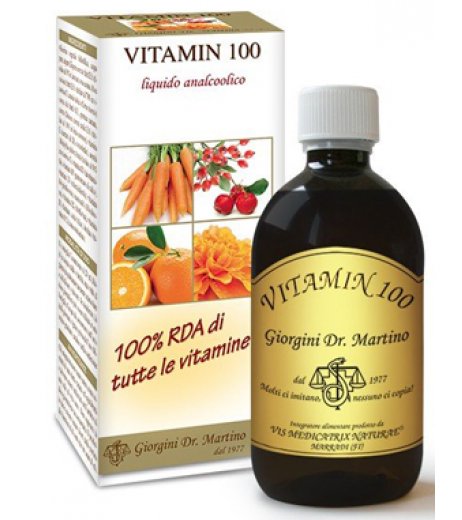 VITAMIN 100 LIQUIDO ANALC500ML