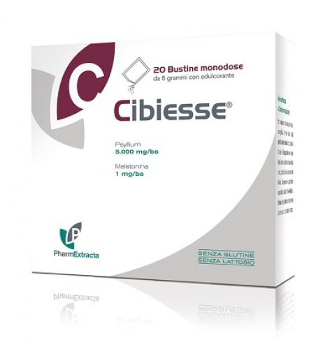 CIBIESSE 20BUST