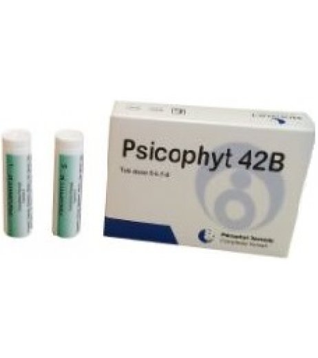 PSICOPHYT REMEDY 42B 4TUB 1,2G