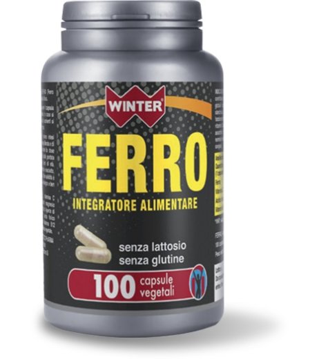 WINTER FERRO 100CPS WINTER FERRO 100CPS