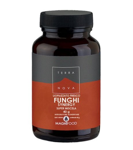 FUNGHI SYNERGY 50CPS VEG TERRA FUNGHI SYNERGY 50CPS VEG TERRA