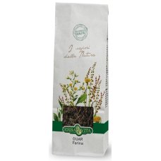 GUAR FARINA 100G EBV