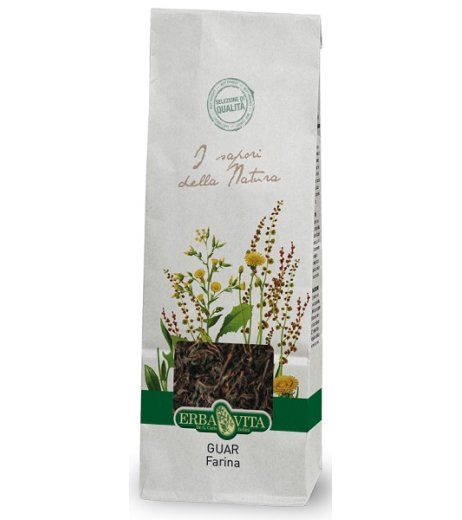 GUAR FARINA 100G EBV