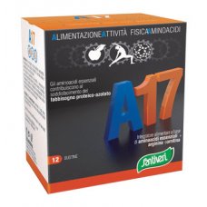A17 AMINOACIDI ESSENZIAL12BUST