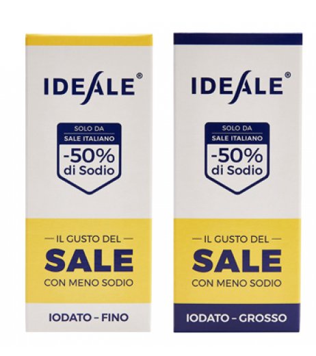 IDEALE CONDIMENTO SALE FI300G