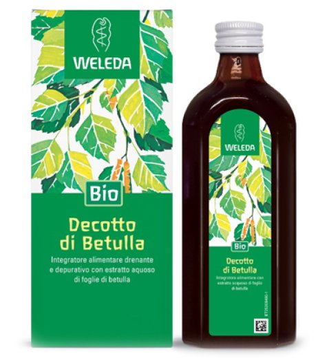 BETULLA DECOTTO 250ML WE