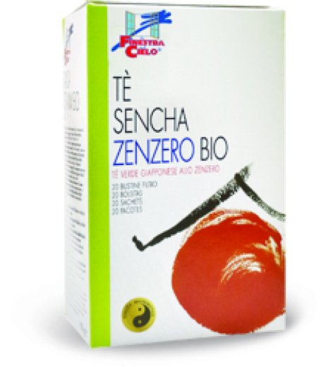 TE SENCHA ZENZERO 20FILTRI