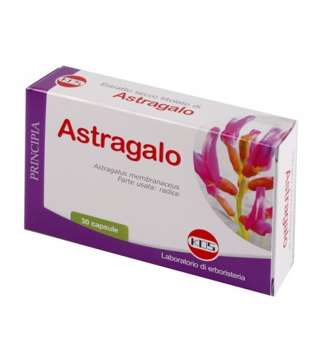 ASTRAGALO ES 70% 500MG 30CPS