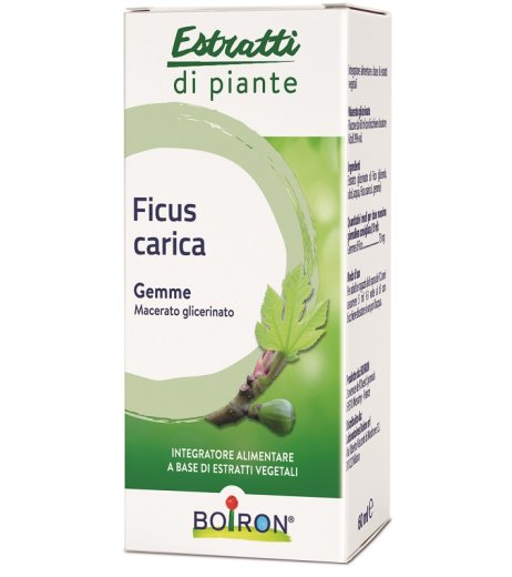 FICUS CARICA MG 60ML INT