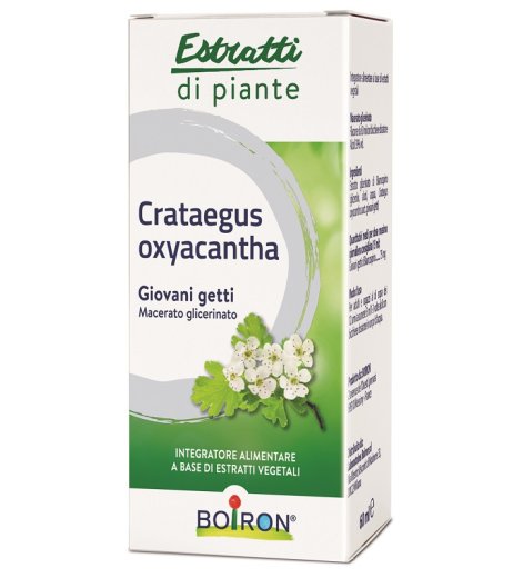 CRATAEGUS OXY MG 60ML INT