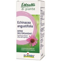 ECHINACEA ANG EI 60ML IN