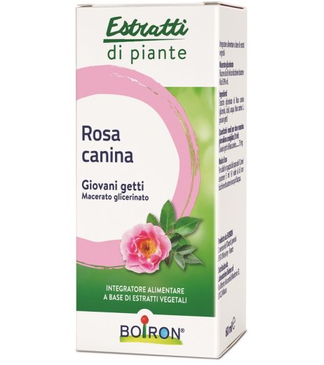 ROSA CANINA MG 60ML INT