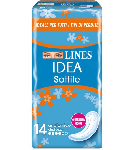 LINES IDEA Sott.Anat.14 Ass.