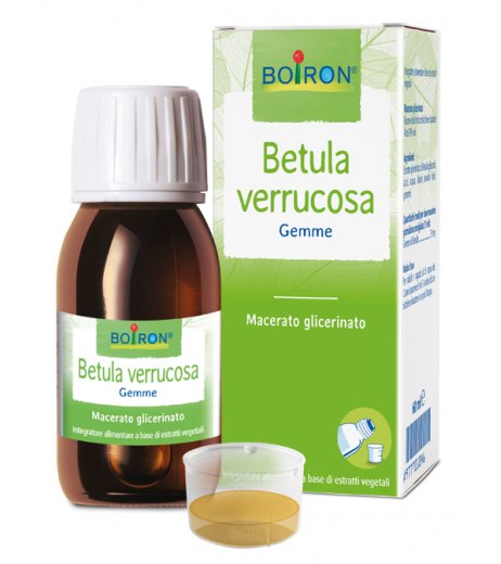 BO.BETULA VERRUCO MG 60ML INT