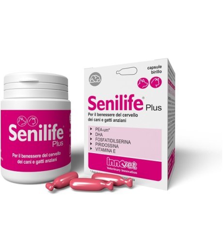 SENILIFE Plus 60 Cps