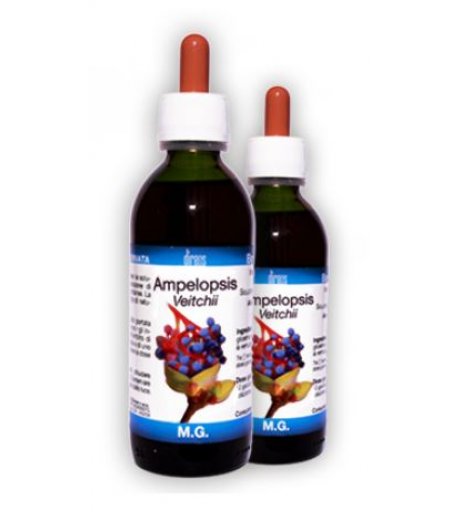 AMPELOPSIS VEITCHII MG 150ML D