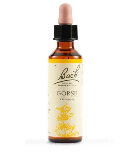 GORSE BACH ORIG 20ML