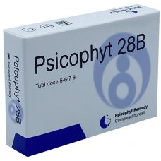 PSICOPHYT REMEDY 28B 4TUB 1,2G