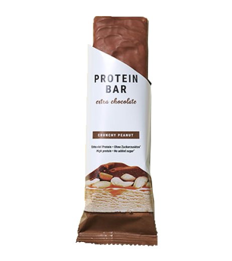 PROTEIN BAR EX CHOCOLATE ARACH PROTEIN BAR EX CHOCOLATE ARACH