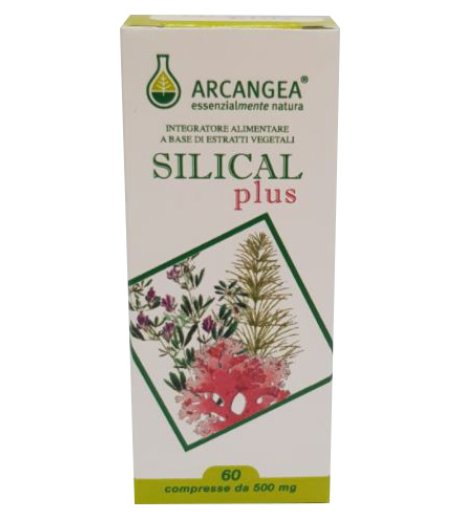 SILICAL PLUS 60CPR