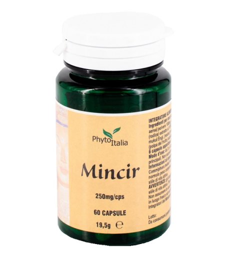 MINCEUR AYURVED 60CPS MINCEUR AYURVED 60CPS