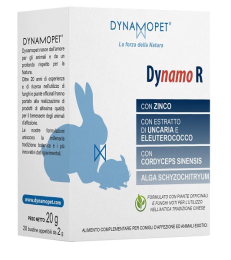 DYNAMO R 20BUST 2G DYNAMO R 20BUST 2G