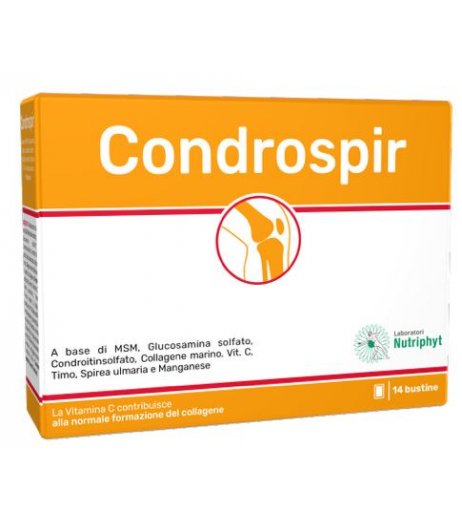 CONDROSPIR 14 Bust.