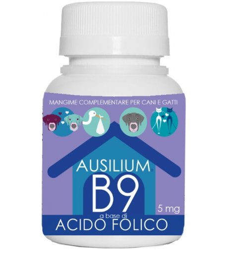 AUSILIUM B9 ACIDO FOLIC 100G VET