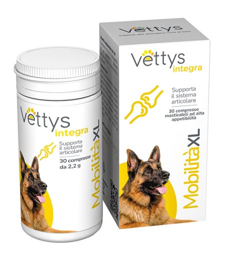 VETTYS Integra Mobilita'XL VETTYS Integra Mobilita'XL
