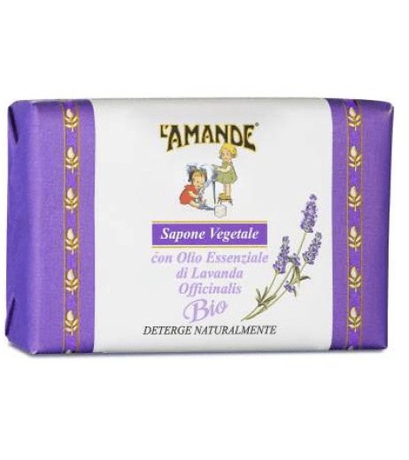LAMANDE MARS SAP VEG LAVANDA