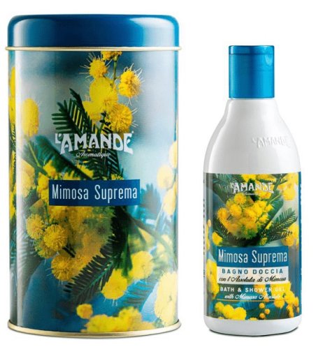 LAMANDE MIM S BOITE BAGNODOCC