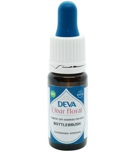 BOTTLEBRUSH ESS 10ML