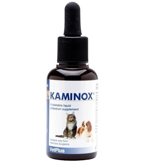 KAMINOX Sciroppo 60ml KAMINOX Sciroppo 60ml