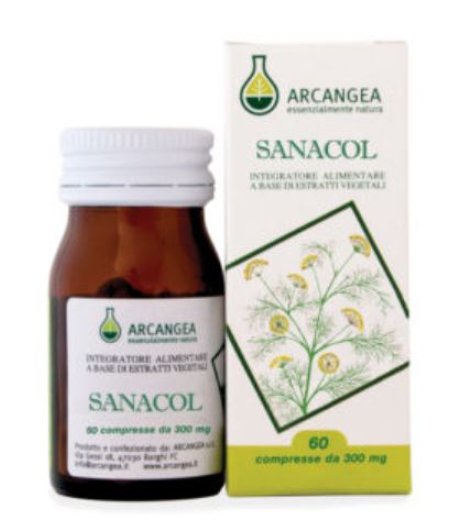 SANACOL 60 Cpr 500mg ACN