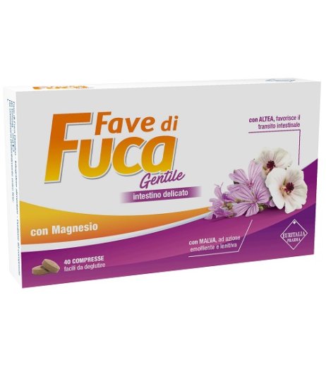 FAVE DI FUCA GENTILE 40CPR NEW FAVE DI FUCA GENTILE 40CPR NEW