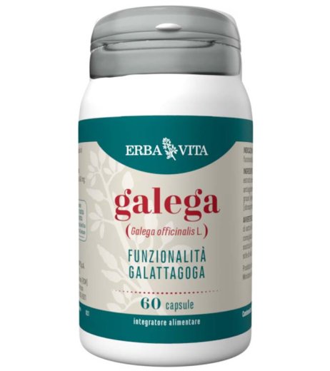 GALEGA 60CPS GALEGA 60CPS