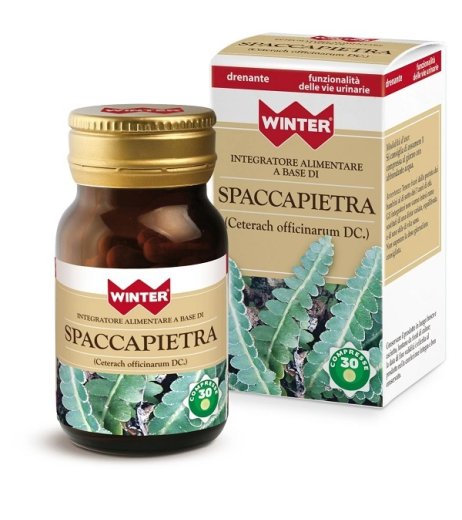 SPACCAPIETRA 30CPR WINTER