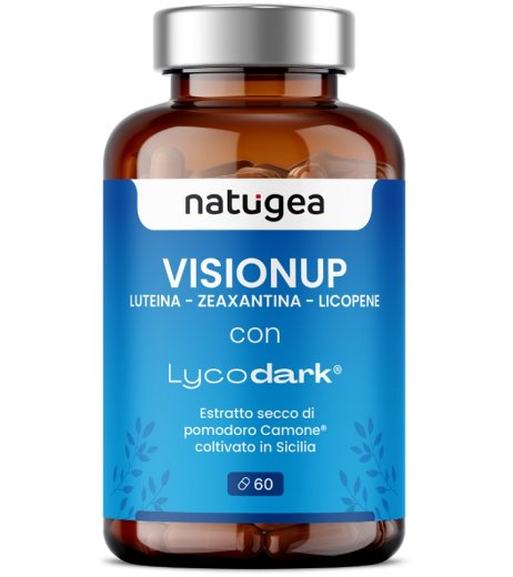 VISIONUP 60CPR